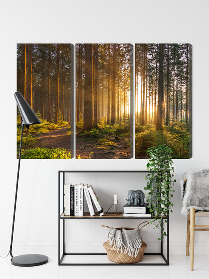 Obraz Wieloczęściowy Leśny Zachód Słońca – ciepła, relaksująca sceneria do wnętrz boho, rustykalnych i klasycznych</strong> – widok 8
