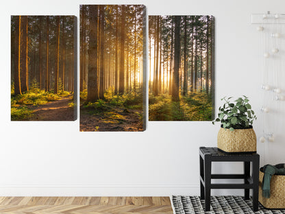 Obraz Wieloczęściowy Leśny Zachód Słońca – ciepła panorama do wnętrz naturalnych, rustykalnych i nowoczesnych – widok 7