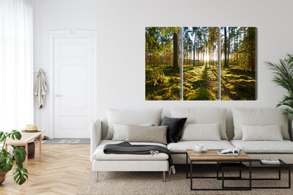 Obraz Wieloczęściowy Leśny Zachód Słońca – spokojna panorama do wnętrz naturalnych, boho i rustykalnych – widok 5