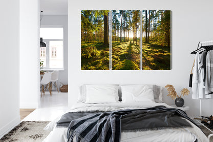 Obraz Wieloczęściowy Leśny Zachód Słońca – spokojna panorama do wnętrz naturalnych, boho i rustykalnych – widok 6