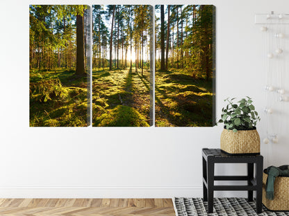 Obraz Wieloczęściowy Leśny Zachód Słońca – spokojna panorama do wnętrz naturalnych, boho i rustykalnych – widok 7