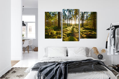 Obraz Wieloczęściowy Leśny Zachód Słońca – nastrojowa panorama do wnętrz naturalnych, boho i nowoczesnych – widok 6