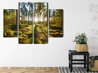 Obraz Wieloczęściowy Leśny Zachód Słońca – majestatyczna panorama do wnętrz naturalnych, boho i nowoczesnych – widok 7