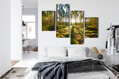 Obraz Wieloczęściowy Leśny Zachód Słońca – malownicza panorama do wnętrz naturalnych, boho i współczesnych – widok 6