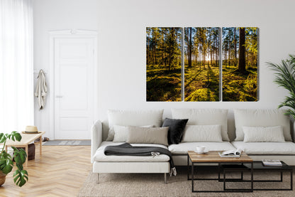 Obraz Wieloczęściowy Leśny Poranek – spokojna panorama do wnętrz skandynawskich i naturalnych – widok 5
