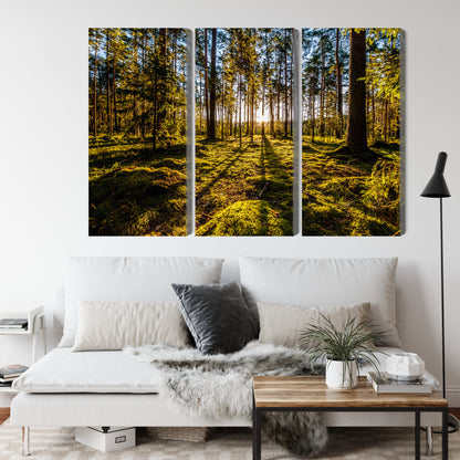 Obraz Wieloczęściowy Leśny Poranek – spokojna panorama do wnętrz skandynawskich i naturalnych – widok 3