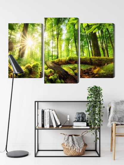 Obraz Wieloczęściowy Słońce w Lesie – ciepła panorama natury do wnętrz naturalnych i boho – widok 8