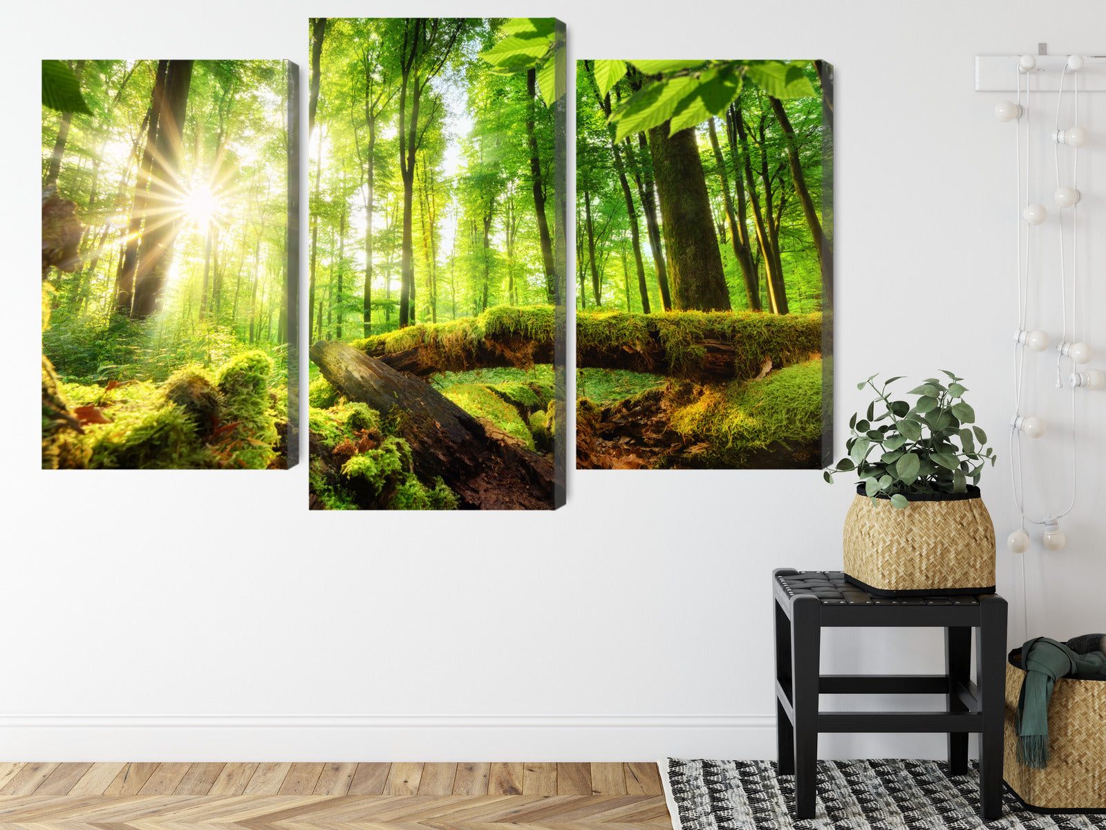 Obraz Wieloczęściowy Słońce w Lesie – ciepła panorama natury do wnętrz naturalnych i boho – widok 7