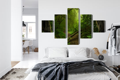 Obraz Wieloczęściowy Tropikalna Ścieżka – zielona oaza do wnętrz Boho, Urban Jungle i Kolonialnych – widok 6