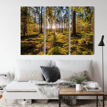 Obraz Wieloczęściowy Słoneczny Las – promienny leśny krajobraz do wnętrz naturalnych, skandynawskich i nowoczesnych – widok 3