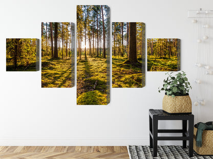 Obraz Wieloczęściowy Słoneczna Leśna Polana – immersyjny krajobraz 3D do wnętrz naturalnych i boho – widok 7