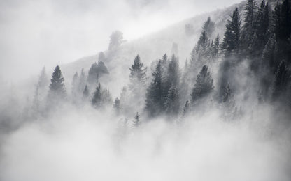 Obraz Wieloczęściowy Las Otulony Mgłą – kojąca natura do wnętrz skandynawskich i japandi 240x150