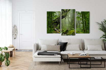 Obraz Wieloczęściowy Zieleń Lasu Deszczowego – głębia natury do wnętrz boho, urban jungle i naturalnych – widok 5