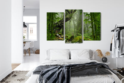 Obraz Wieloczęściowy Zieleń Lasu Deszczowego – głębia natury do wnętrz boho, urban jungle i naturalnych – widok 6