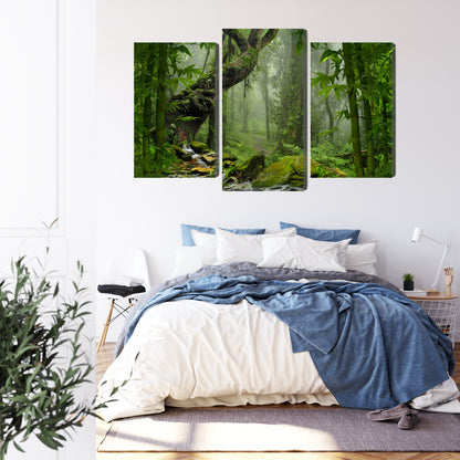Obraz Wieloczęściowy Zieleń Lasu Deszczowego – głębia natury do wnętrz boho, urban jungle i naturalnych – widok 2