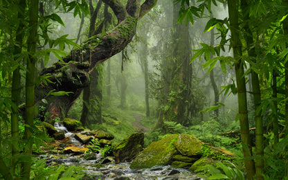 Obraz Wieloczęściowy Zieleń Lasu Deszczowego – Egzotyczna Natura do wnętrz botanicznych, boho i nowoczesnych 240x150