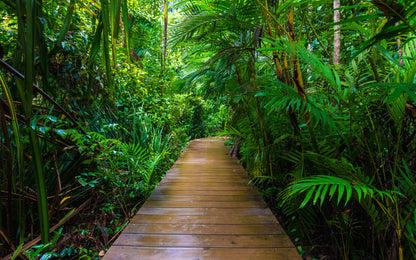 Obraz Wieloczęściowy Tropikalny Las z Mostem – egzotyczna głębia do wnętrz boho i jungle 240x150