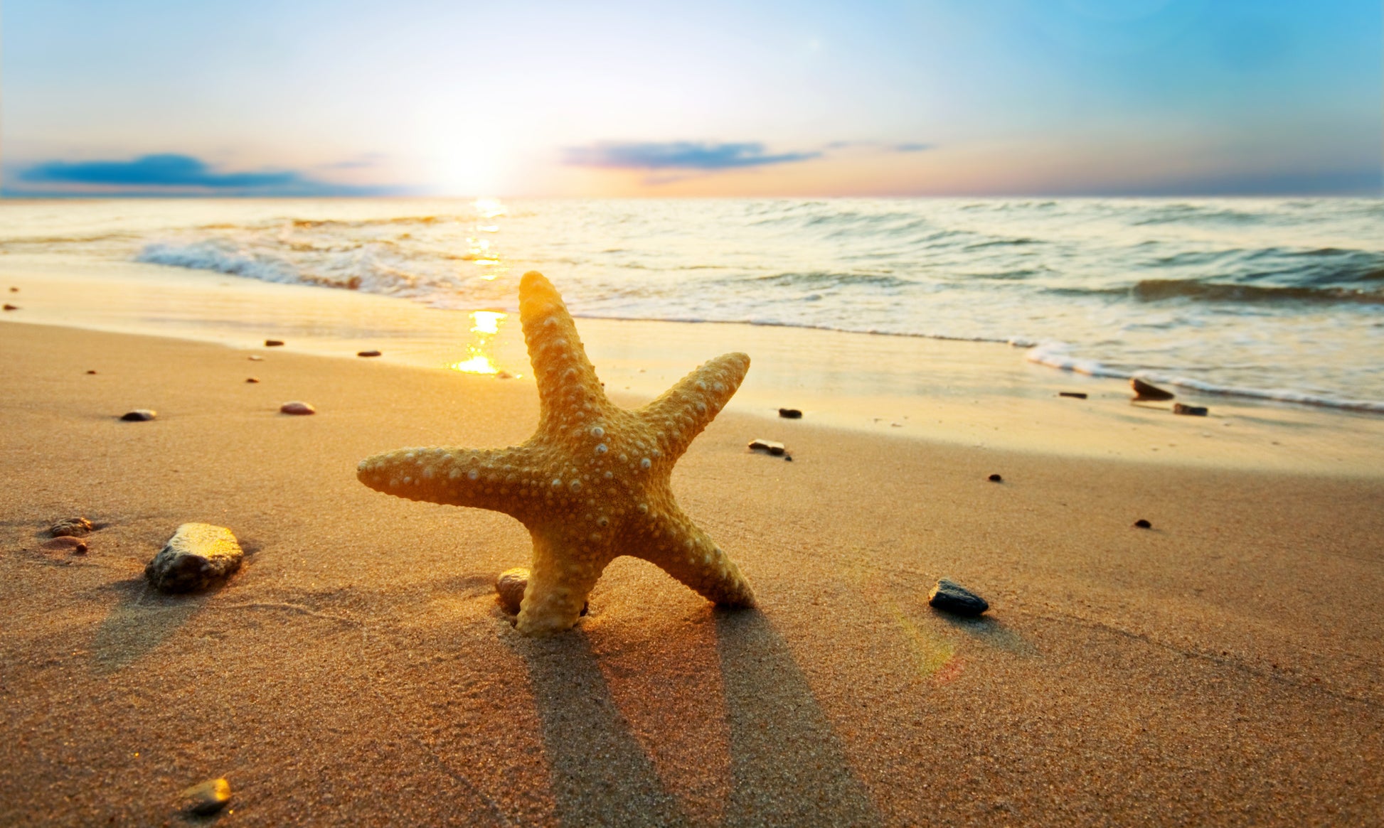 Obraz Wieloczęściowy Rozgwiazda na Plaży – nadmorski spokój do wnętrz coastal i skandynawskich 250x150