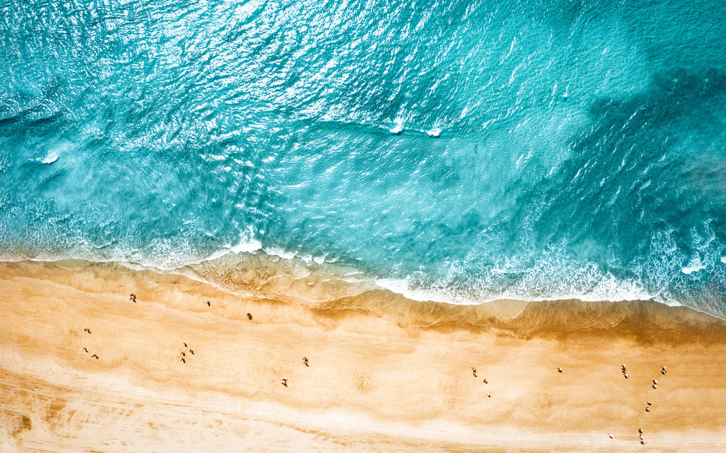 Obraz Wieloczęściowy Ocean i Plaża – błękitny spokój z lotu ptaka do wnętrz Coastal, Hamptons, skandynawskich 240x150