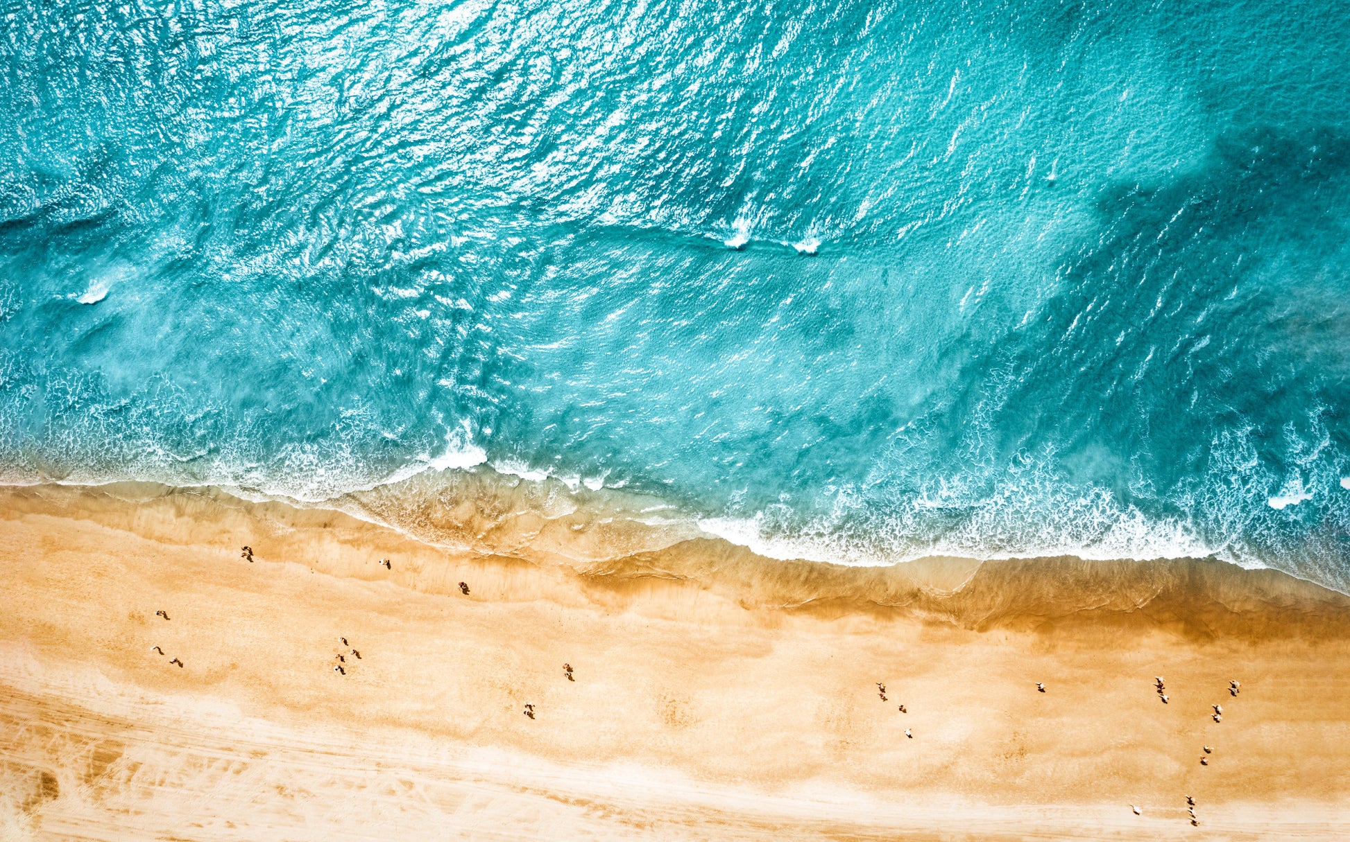 Obraz Wieloczęściowy Ocean i Plaża – błękitny spokój z lotu ptaka do wnętrz Coastal, Hamptons, skandynawskich 240x150