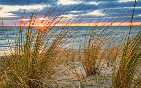 Obraz Wieloczęściowy Nadmorski Wschód Słońca – rozświetlony pejzaż do wnętrz Coastal, Boho, Japandi 240x150