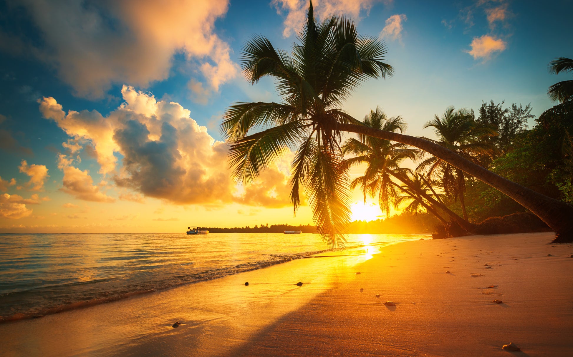 Obraz Wieloczęściowy Tropikalna Plaża Punta Cana – egzotyczny spokój do wnętrz coastal, boho i tropikalnych 240x150