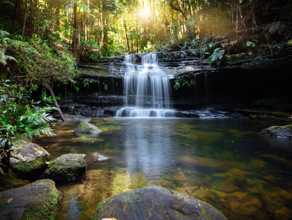 Obraz Wieloczęściowy Wodospad w Buszu – tropikalny spokój do wnętrz naturalnych, boho i spa 200x150
