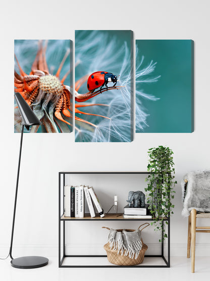 Obraz Wieloczęściowy Biedronka na Mniszku Lekarskim – natura w detalach do wnętrz boho i eko – widok 8