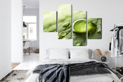 Obraz Wieloczęściowy Krople Wody Na Liściu – naturalna świeżość do wnętrz skandynawskich, nowoczesnych – widok 6