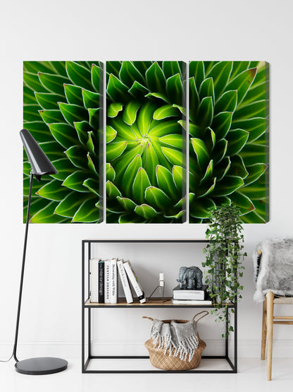 Obraz Wieloczęściowy Zielona Roślina Makro – Botaniczny spokój do wnętrz biophilic i Scandi Boho – widok 8