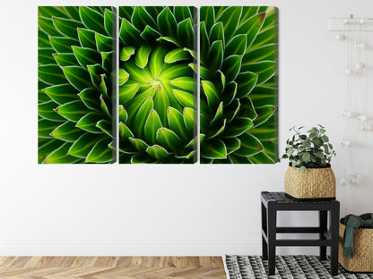 Obraz Wieloczęściowy Zielona Roślina Makro – Botaniczny spokój do wnętrz biophilic i Scandi Boho – widok 7