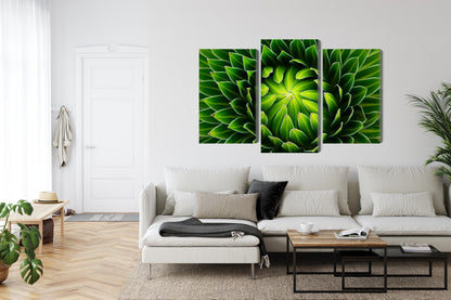 Obraz Wieloczęściowy Roślina Makro – Botaniczny Spokój do wnętrz Biophilic, Skandynawskich i Nowoczesnych – widok 5