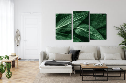Obraz Wieloczęściowy Szałwia Makro – botaniczny spokój do wnętrz Scandi, Boho i Naturalnych – widok 5