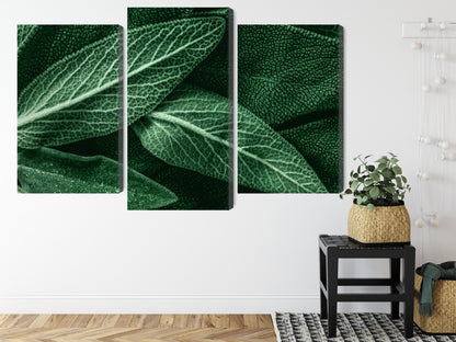 Obraz Wieloczęściowy Szałwia Makro – botaniczny spokój do wnętrz Scandi, Boho i Naturalnych – widok 7