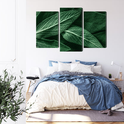 Obraz Wieloczęściowy Szałwia Makro – botaniczny spokój do wnętrz Scandi, Boho i Naturalnych – widok 2