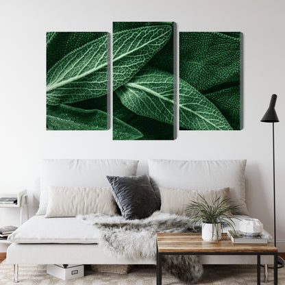 Obraz Wieloczęściowy Szałwia Makro – botaniczny spokój do wnętrz Scandi, Boho i Naturalnych – widok 3