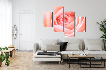 Obraz Wieloczęściowy Pastelowa Róża Makro – subtelna elegancja do wnętrz romantycznych, nowoczesnych i glamour – widok 5