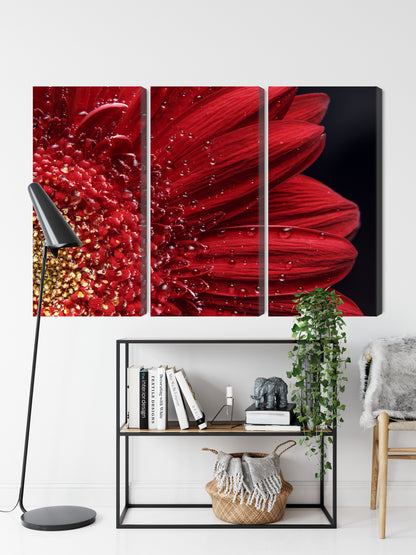 Obraz Wieloczęściowy Płatki Kwiatów Makro – subtelna elegancja do wnętrz nowoczesnych, glamour i romantycznych – widok 8