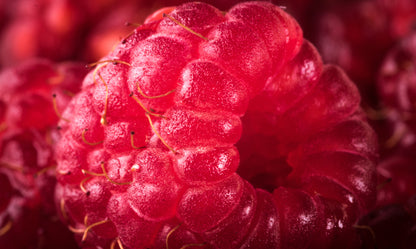 Obraz Wieloczęściowy Maliny Makro – soczysta kompozycja do wnętrz nowoczesnych, skandynawskich i naturalnych 250x150