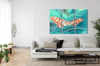 Obraz Wieloczęściowy Motyl na Liściu – botaniczny spokój do wnętrz naturalnych, skandynawskich i eko – widok 5