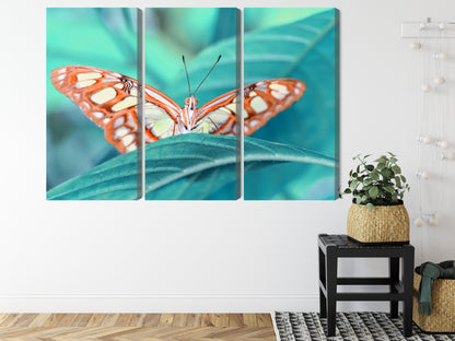 Obraz Wieloczęściowy Motyl na Liściu – botaniczny spokój do wnętrz naturalnych, skandynawskich i eko – widok 7