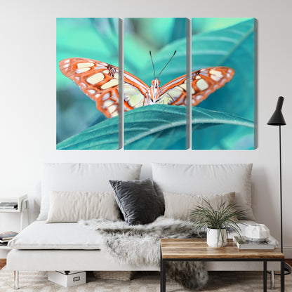 Obraz Wieloczęściowy Motyl na Liściu – botaniczny spokój do wnętrz naturalnych, skandynawskich i eko – widok 3