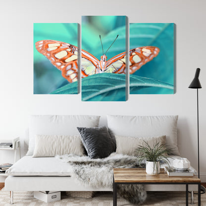 Obraz Wieloczęściowy Motyl Na Liściu – natura w detalu do wnętrz skandynawskich, botanicznych i nowoczesnych – widok 3