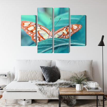 Obraz Wieloczęściowy Motyl na Liściu Makro – natura i spokój do wnętrz naturalnych, skandynawskich i nowoczesnych – widok 3