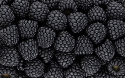 Obraz Wieloczęściowy Jeżyny w Makro – nastrojowa kompozycja do wnętrz loftowych i nowoczesnych 240x150