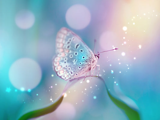 Obraz Wieloczęściowy Delikatny Motyl na Źdźble – makro natura do wnętrz skandynawskich, naturalnych 200x150