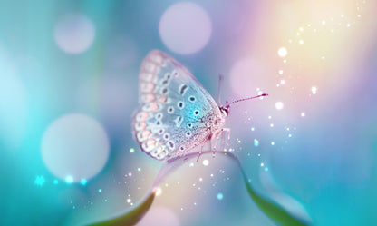 Obraz Wieloczęściowy Delikatny Motyl Makro – spokojna natura do wnętrz skandynawskich i naturalnych 250x150