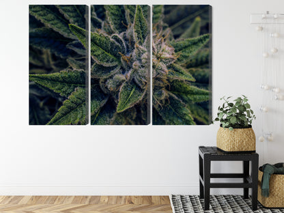 Obraz Wieloczęściowy Liść Konopi – botaniczny detal do wnętrz naturalnych, nowoczesnych, biophilic – widok 7