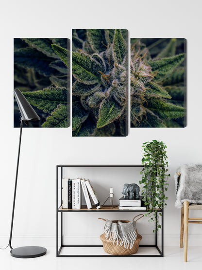Obraz Wieloczęściowy Liście Konopi – botaniczna zieleń do wnętrz naturalnych, boho i urban jungle – widok 8