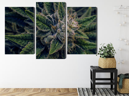 Obraz Wieloczęściowy Liście Konopi – botaniczna zieleń do wnętrz naturalnych, boho i urban jungle – widok 7